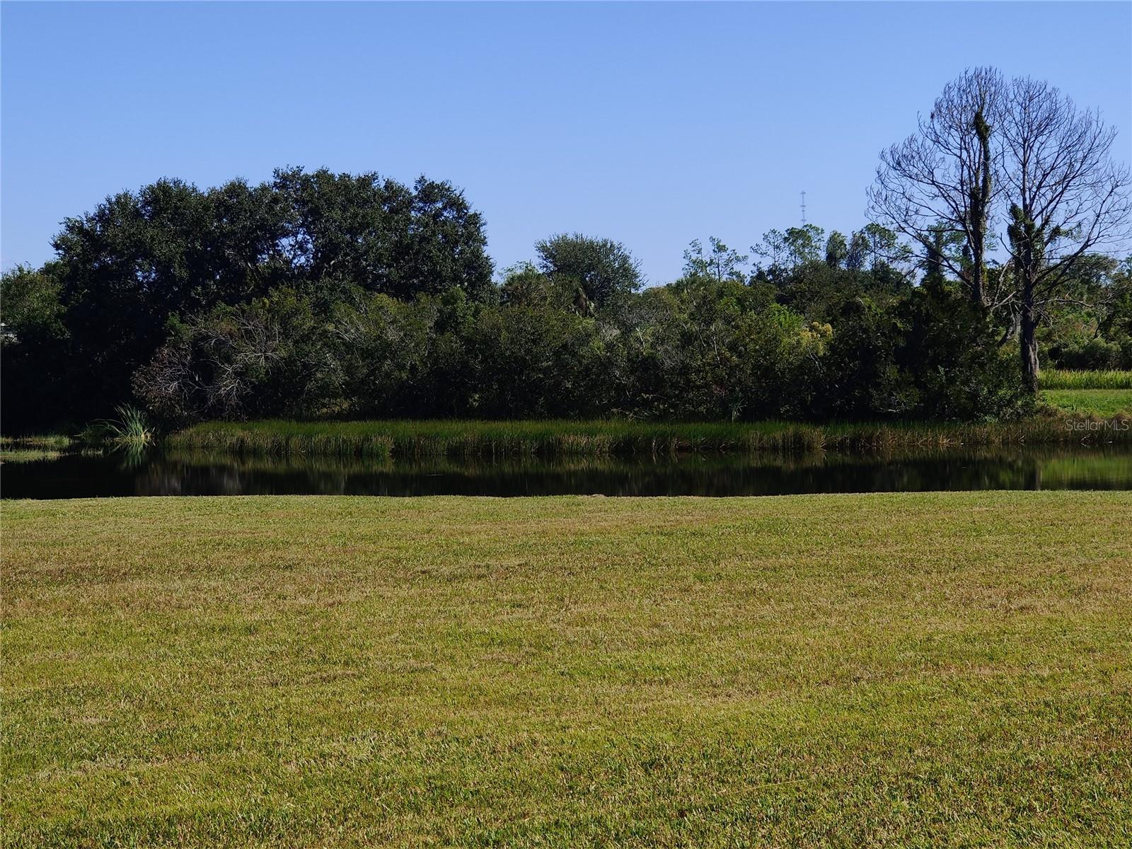 TAMPA BAY GOLF AND TENNIS CLUB - Residential Lease