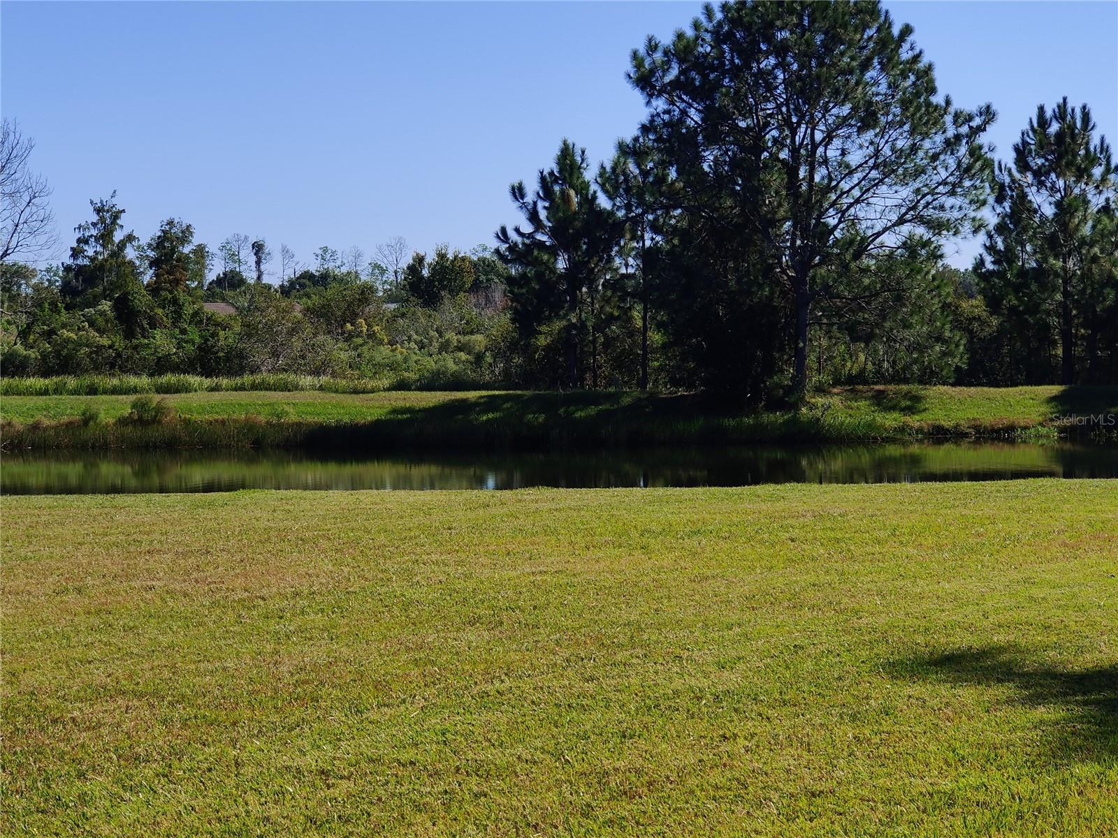 TAMPA BAY GOLF AND TENNIS CLUB - Residential Lease