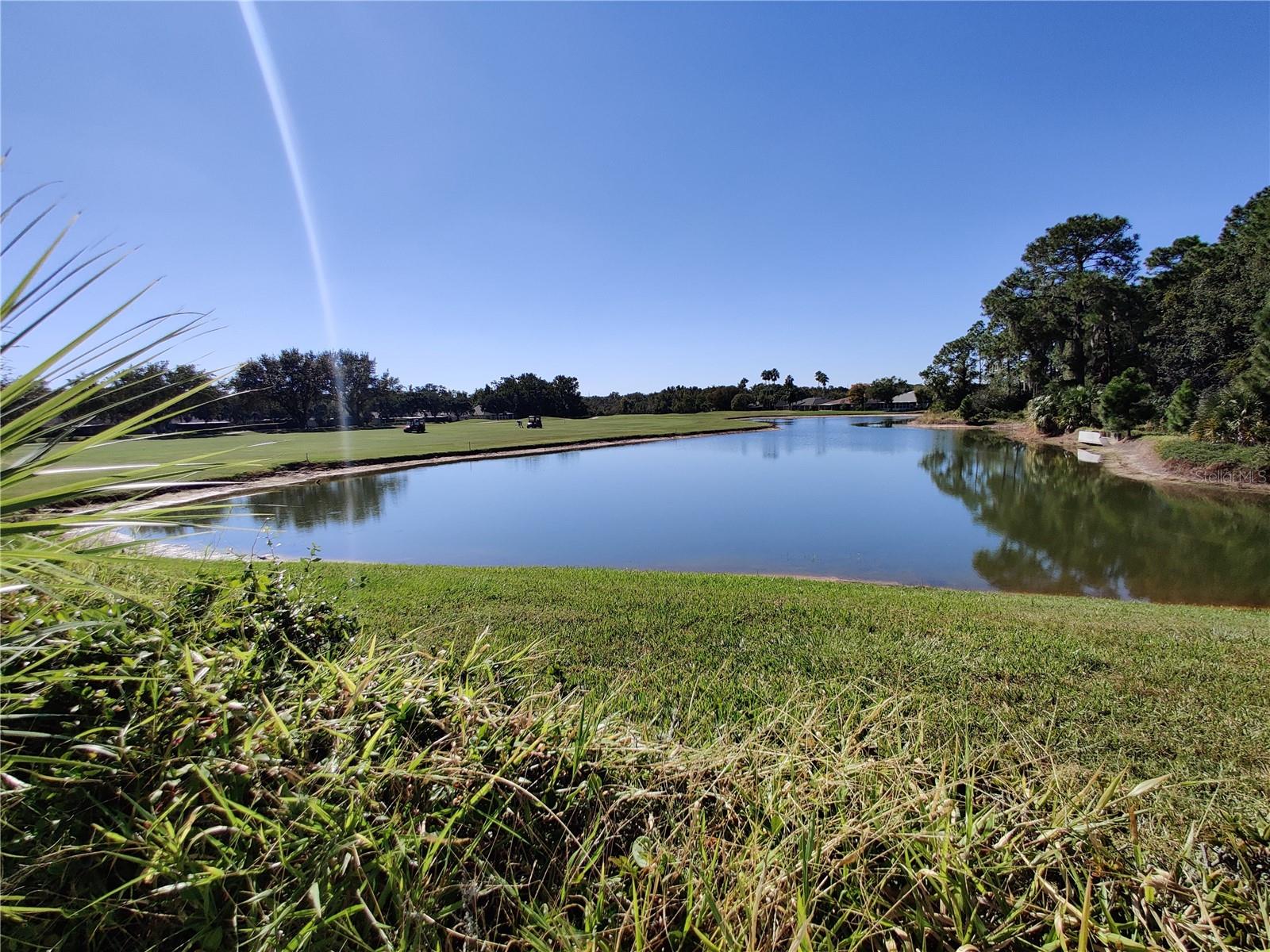 TAMPA BAY GOLF AND TENNIS CLUB - Residential Lease
