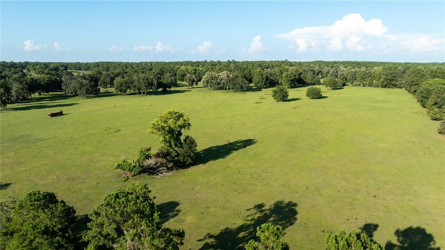 Approximately 133+/- acres situated in the equestrian hub of Marion County Florida!!! The proximity to HITS and the World Equestrian Center makes this property a prime location for anyone passionate about horses and riding. The allure of majestic live oak trees adds to the natural charm and beauty of the landscape, providing a picturesque setting for a dream farm. Owning a property like this offers a unique opportunity to design and create the equestrian haven you've always envisioned. Whether you're looking to build stables, training facilities, or simply enjoy the land for recreational riding, the potential for this acreage is limitless. Given the desirability of the location and the features of the land, acting quickly to secure this property would be wise. Opportunities like this don't come around often, especially in such a coveted area for equestrian enthusiasts. Don't miss the chance to turn your equestrian dreams into reality on this exceptional piece of land.