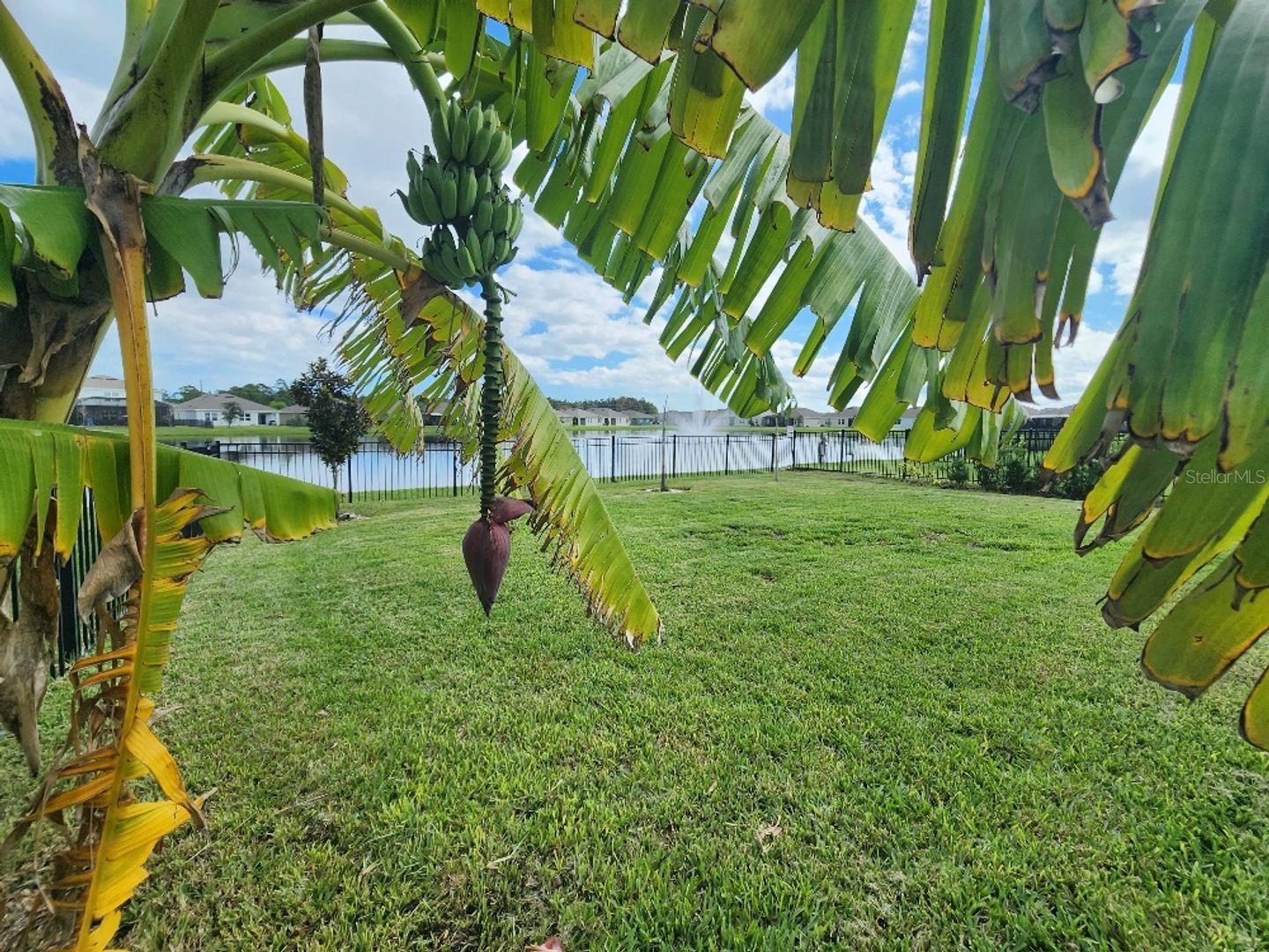 COASTAL WOODS UN D - Residential Lease