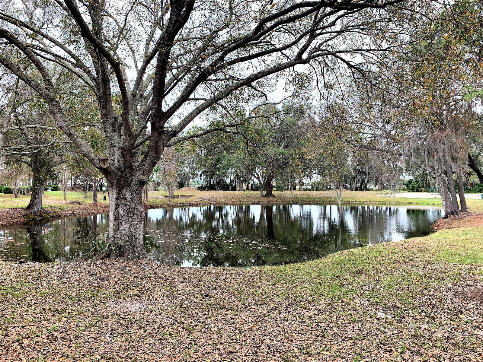 VILLA SERENA A CONDO - Residential Lease