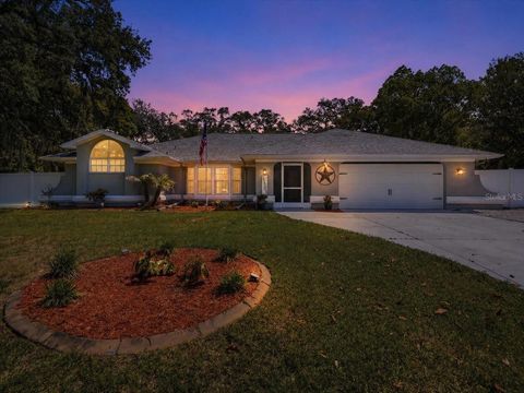 Photo of 11503 Trumbull Drive, Spring Hill, FL 34609 (MLS # TB8502264)