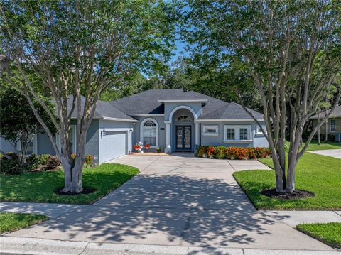 800 OSPREY LANDING DRIVE LAKELAND FL 33813