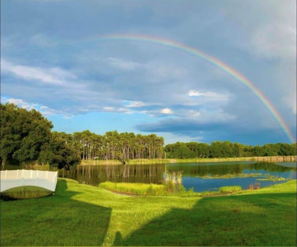 Photo of 1312 Brooke View Drive, Odessa, FL 33556 (MLS # W7883869)