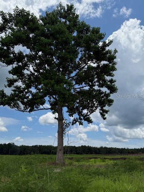 ST JOHNS DEV COMPANYS - Land