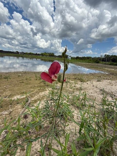 ST JOHNS DEV COMPANYS - Land
