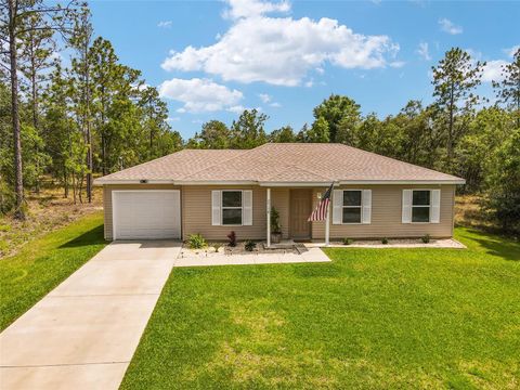 Single Family Residence in DUNNELLON FL 24178 LUNA AVENUE 32.jpg