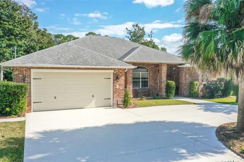 A home in PALM COAST