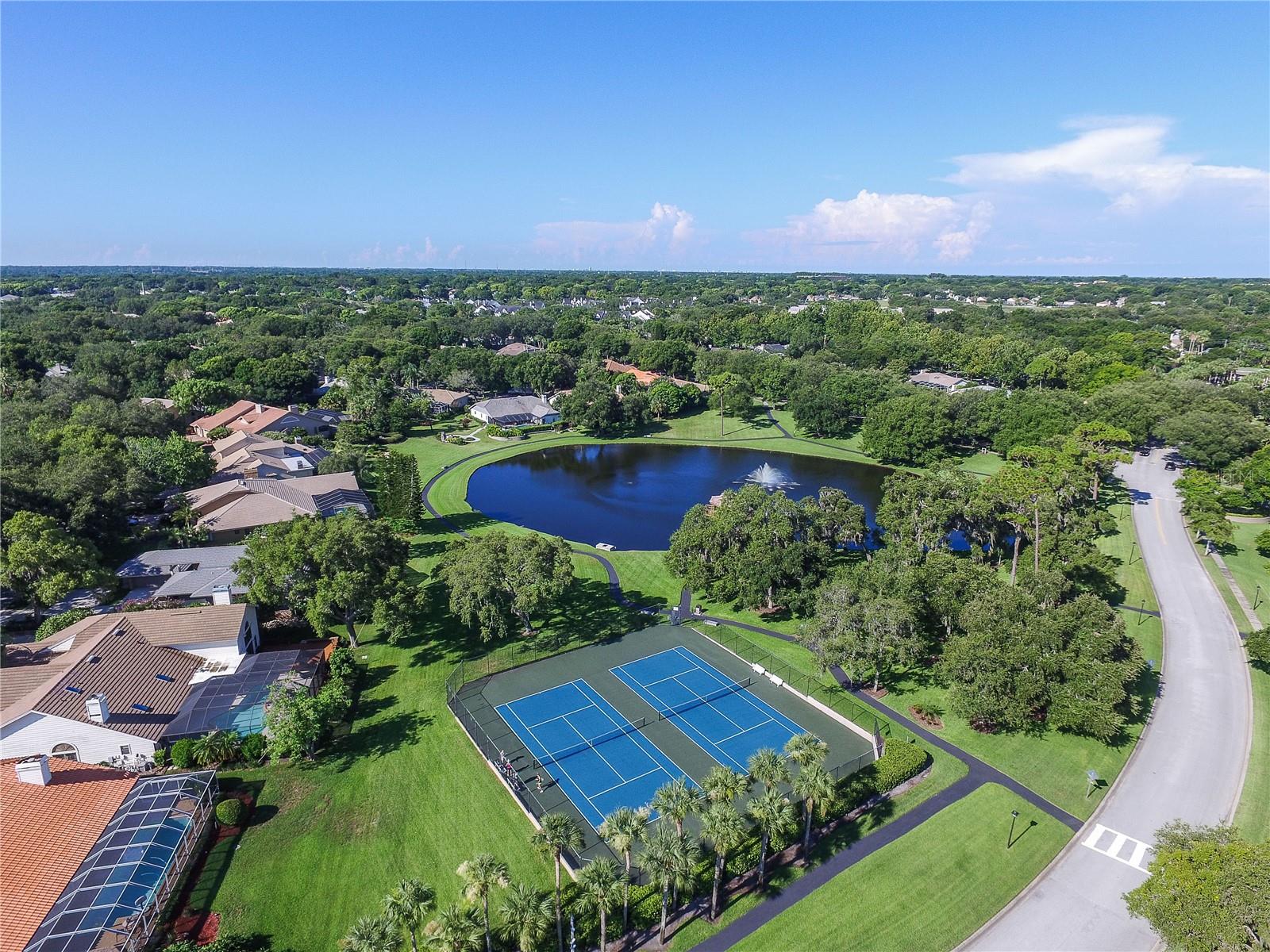 PINNACLE AT COBBS LANDING - Residential