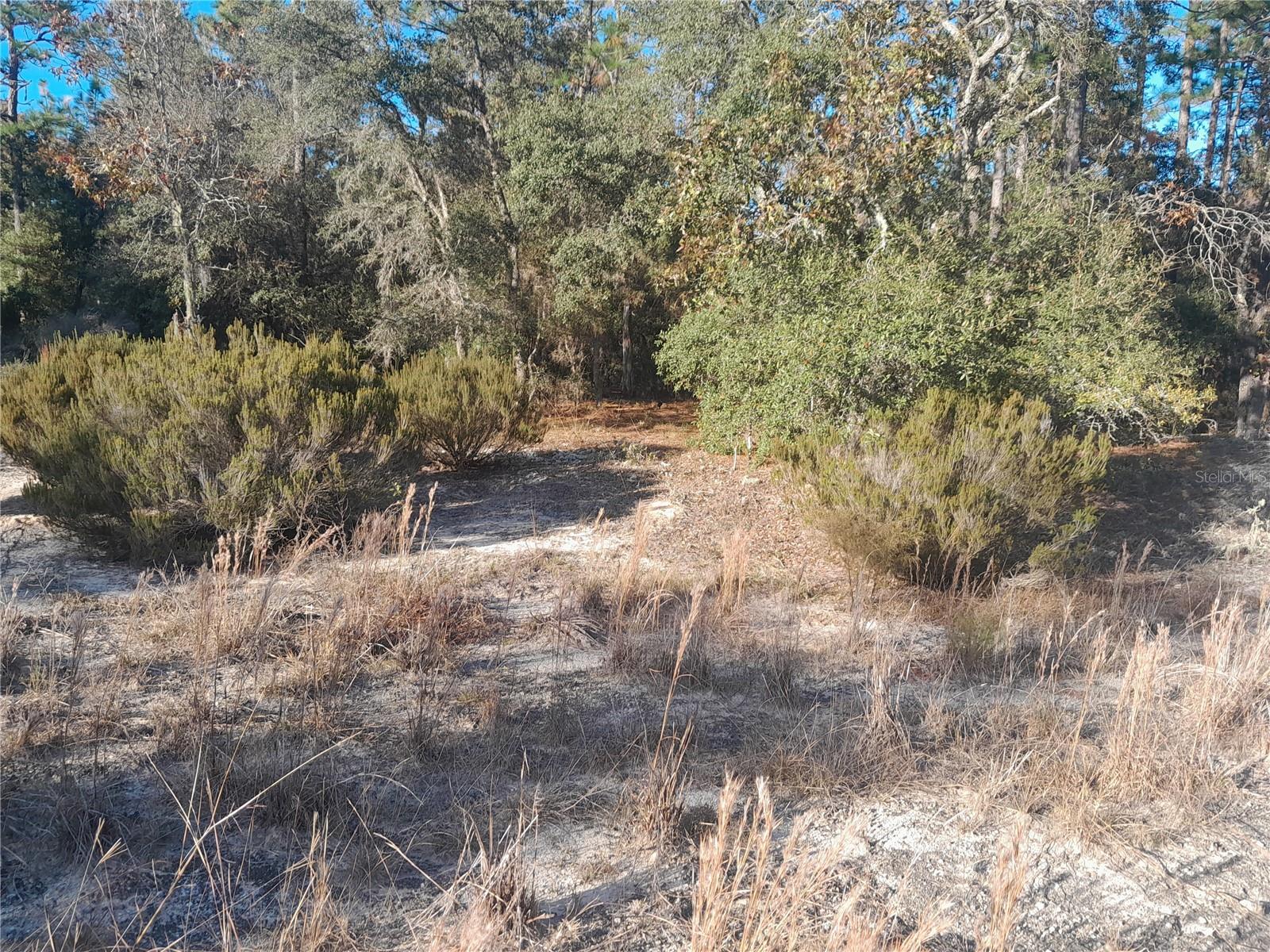 WILLISTON HIGHLANDS UNIT 6 - Land