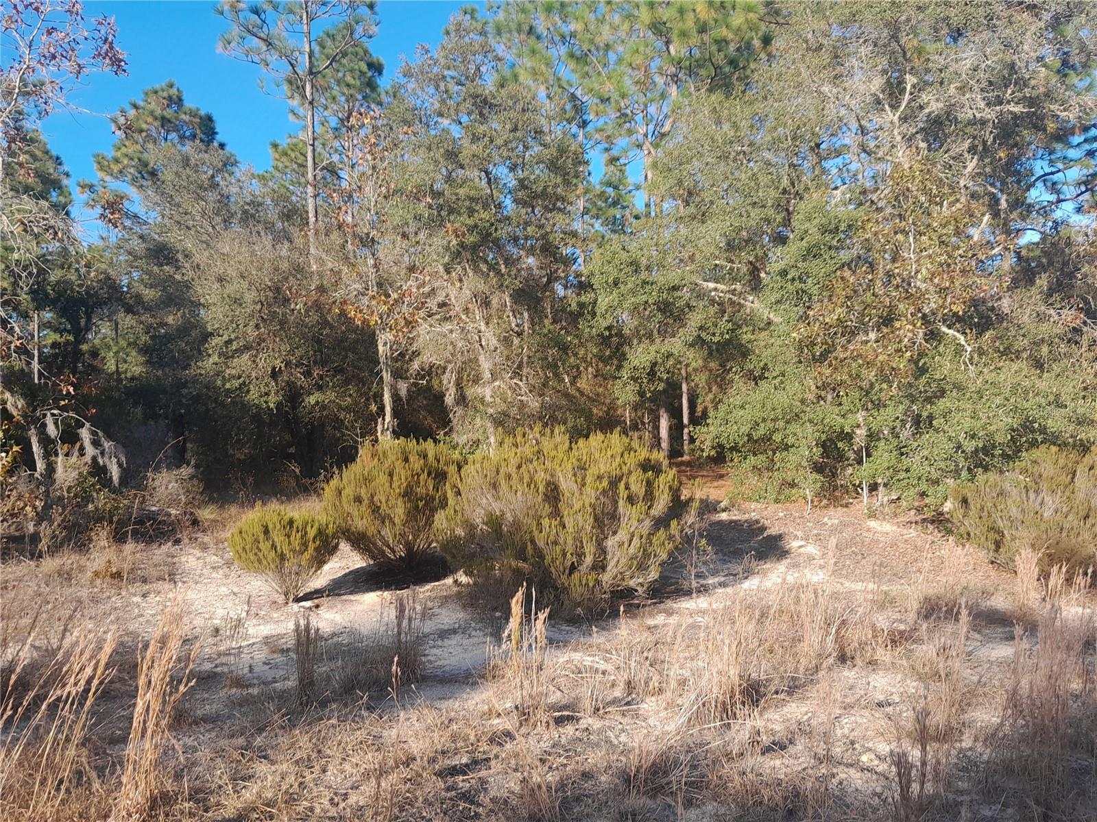 WILLISTON HIGHLANDS UNIT 6 - Land