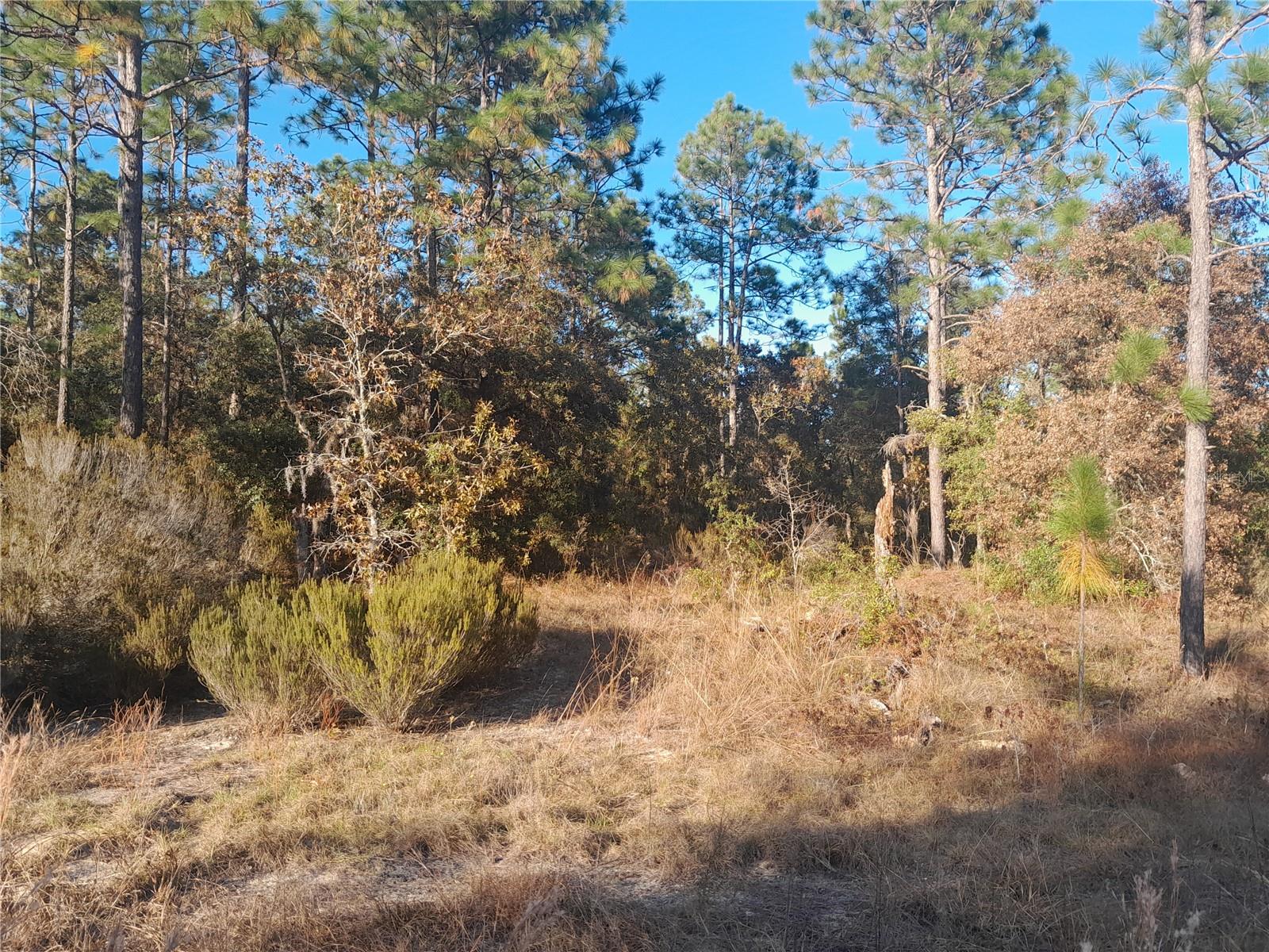 WILLISTON HIGHLANDS UNIT 6 - Land