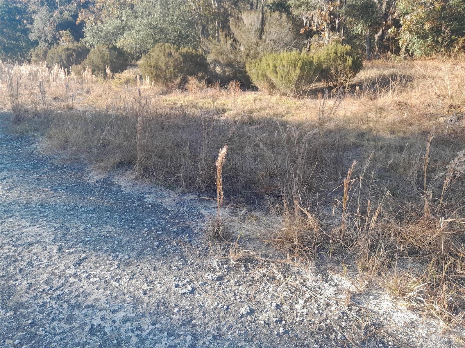 WILLISTON HIGHLANDS UNIT 6 - Land