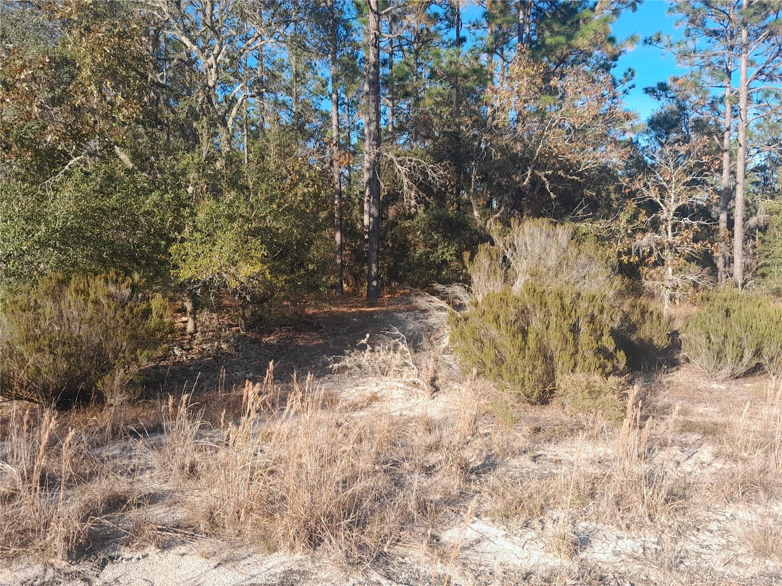 WILLISTON HIGHLANDS UNIT 6 - Land