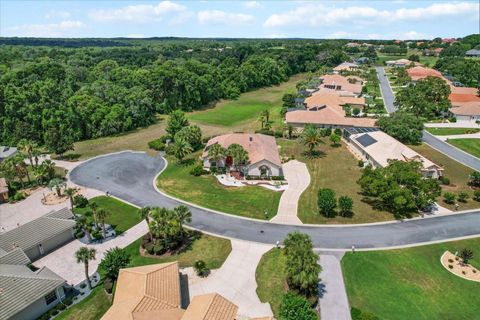 Tiny photo for 1802 N Musial Point, Hernando, FL 34442 (MLS # OM703805)