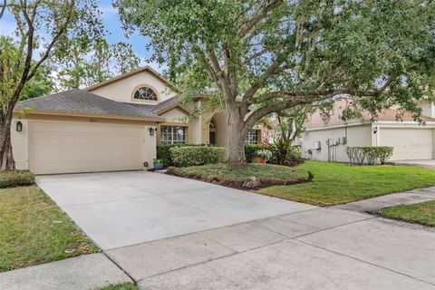 18017 PALM BREEZE DRIVE TAMPA FL 33647