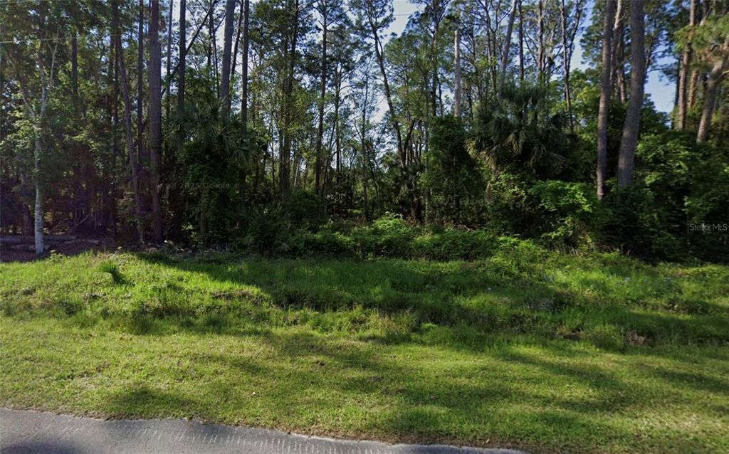 Photo of 731 Paradise Boulevard, Georgetown, FL 32139 (MLS # O6354382)