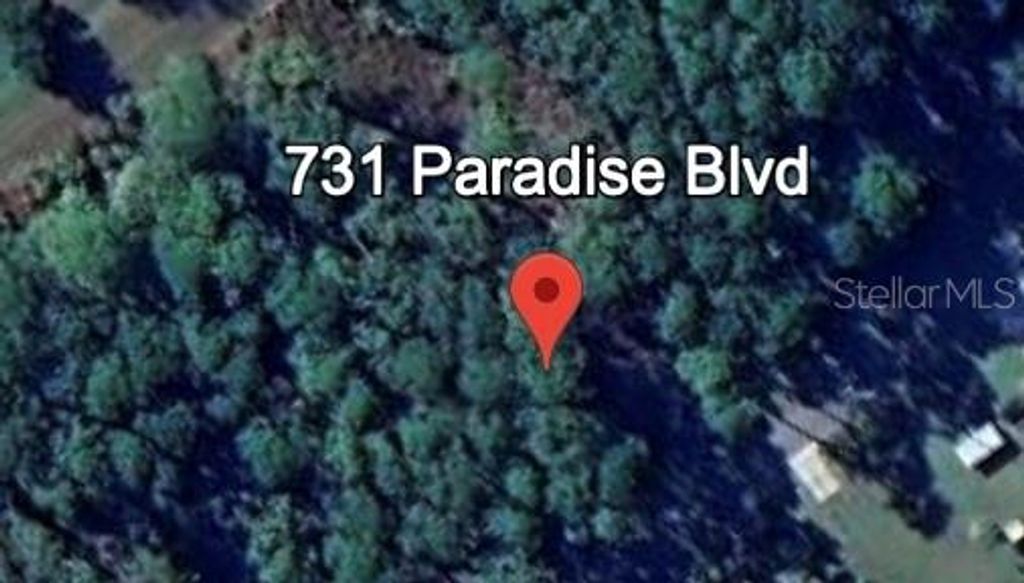 Photo of 731 Paradise Boulevard, Georgetown, FL 32139 (MLS # O6354382)