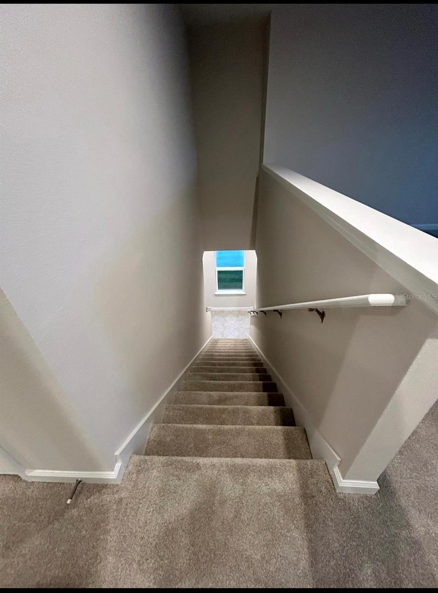 CONNER XING - Residential Lease