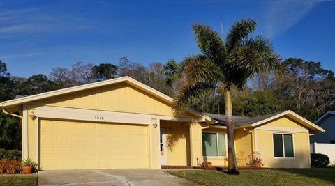 A home in PALM HARBOR