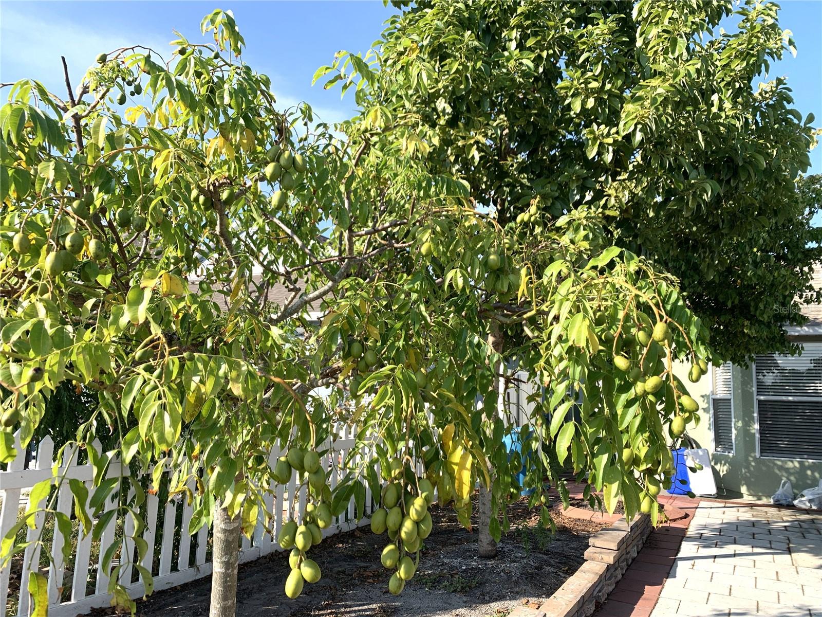 CANTERBURY LAKES PH IIB - Residential