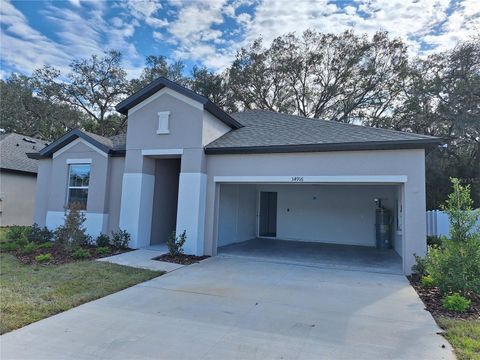 Photo of 34916 Mulrion Drive, Zephyrhills, FL 33541 (MLS # TB8526689)