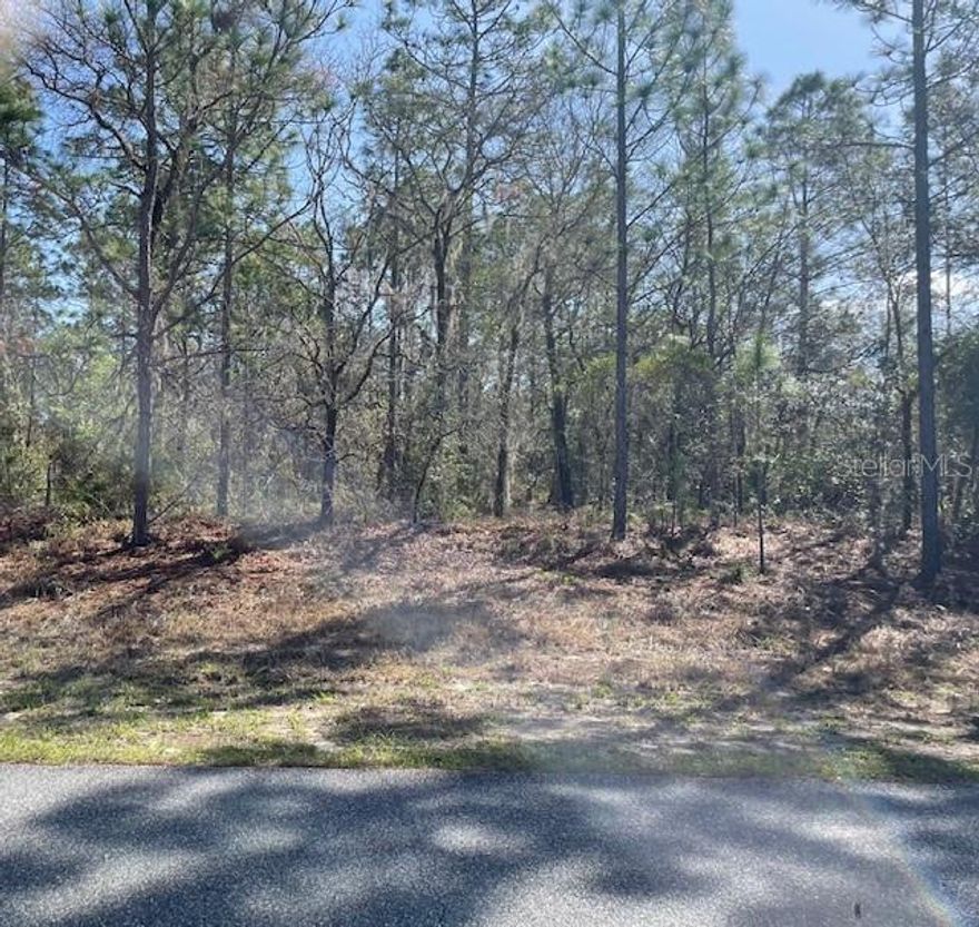 Stunning 2.75 acre corner lot in the beautiful Pine Ridge Community. Pine Ridge  is the largest equestrian community in Citrus County, designed for horse enthusiasts and outdoor lovers, with approximatly 27 miles of riding and hiking trials. Just minutes from the Nature Coast.
Don't miss out on this opportunity to build your own custom esate or hold as a future investment.