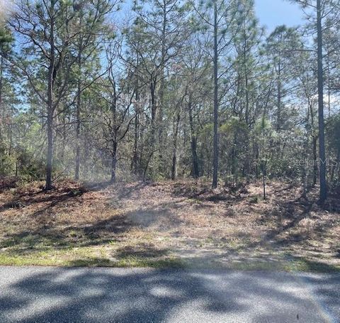 4707 N SACRAMENTO AVENUE BEVERLY HILLS FL 34465