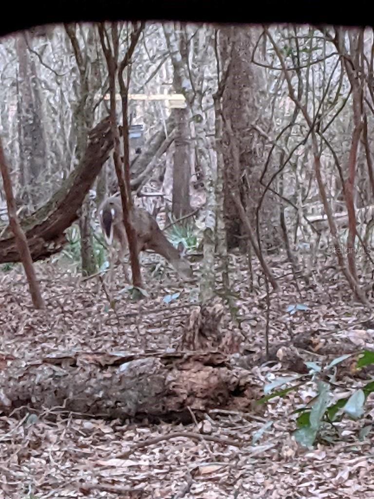 RIVERVIEW ESTATE SUB - Land