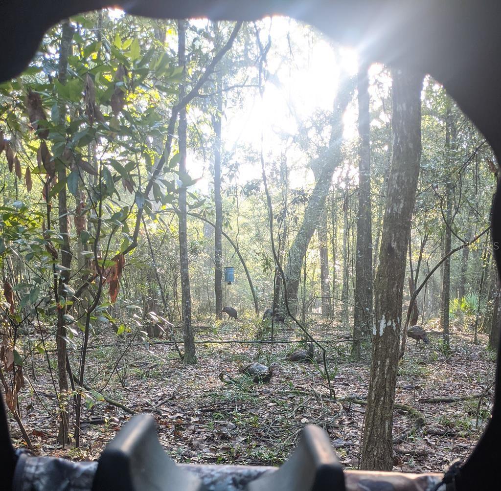 RIVERVIEW ESTATE SUB - Land