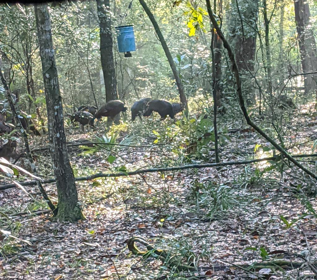 RIVERVIEW ESTATE SUB - Land