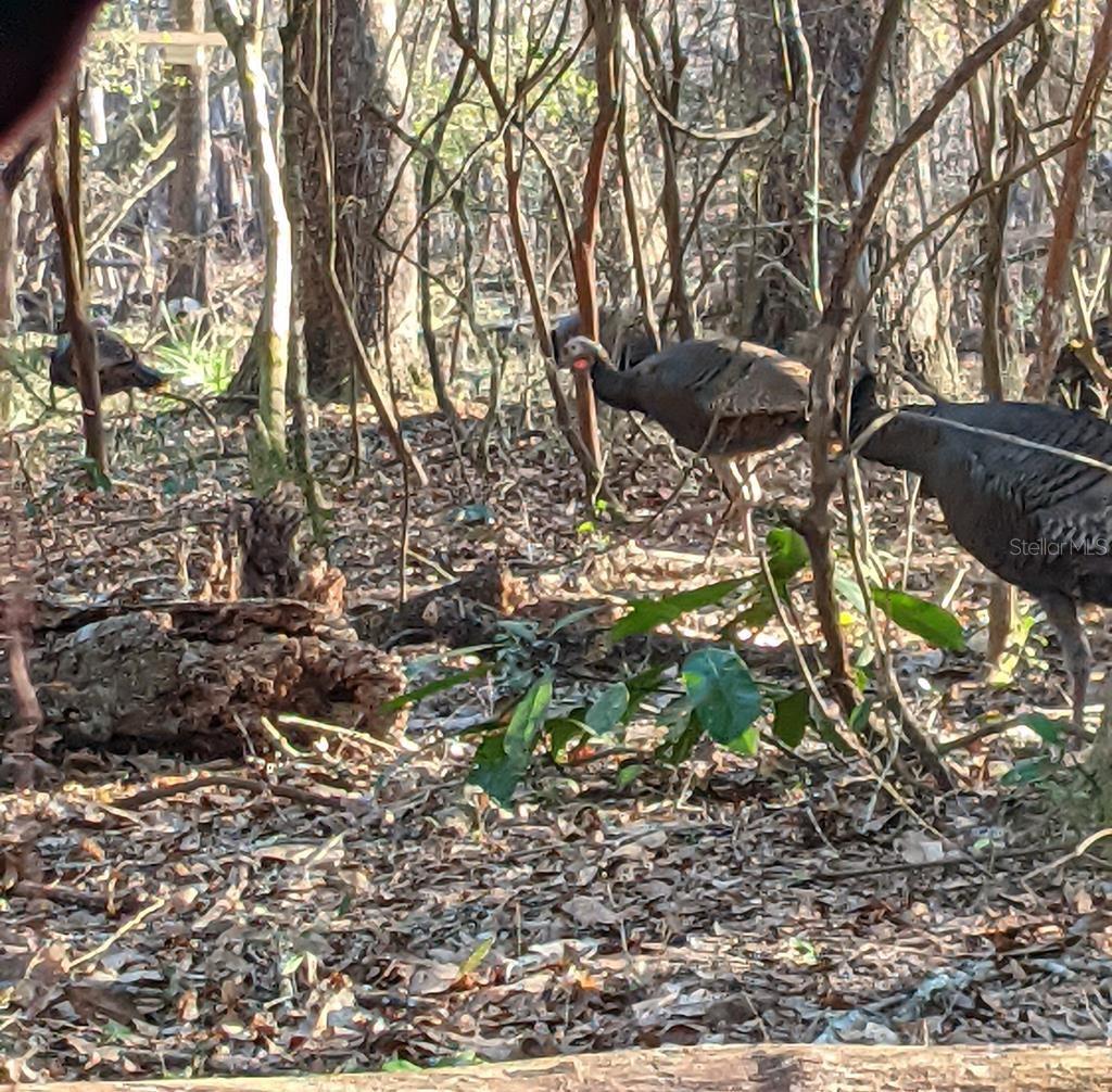 RIVERVIEW ESTATE SUB - Land