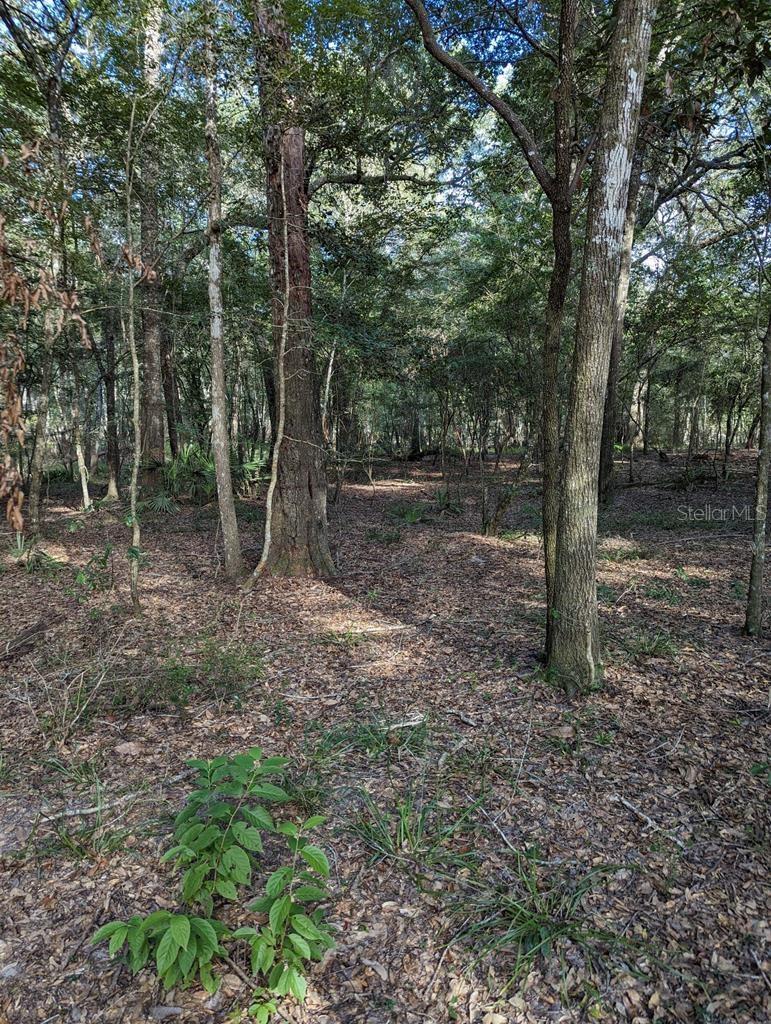 RIVERVIEW ESTATE SUB - Land