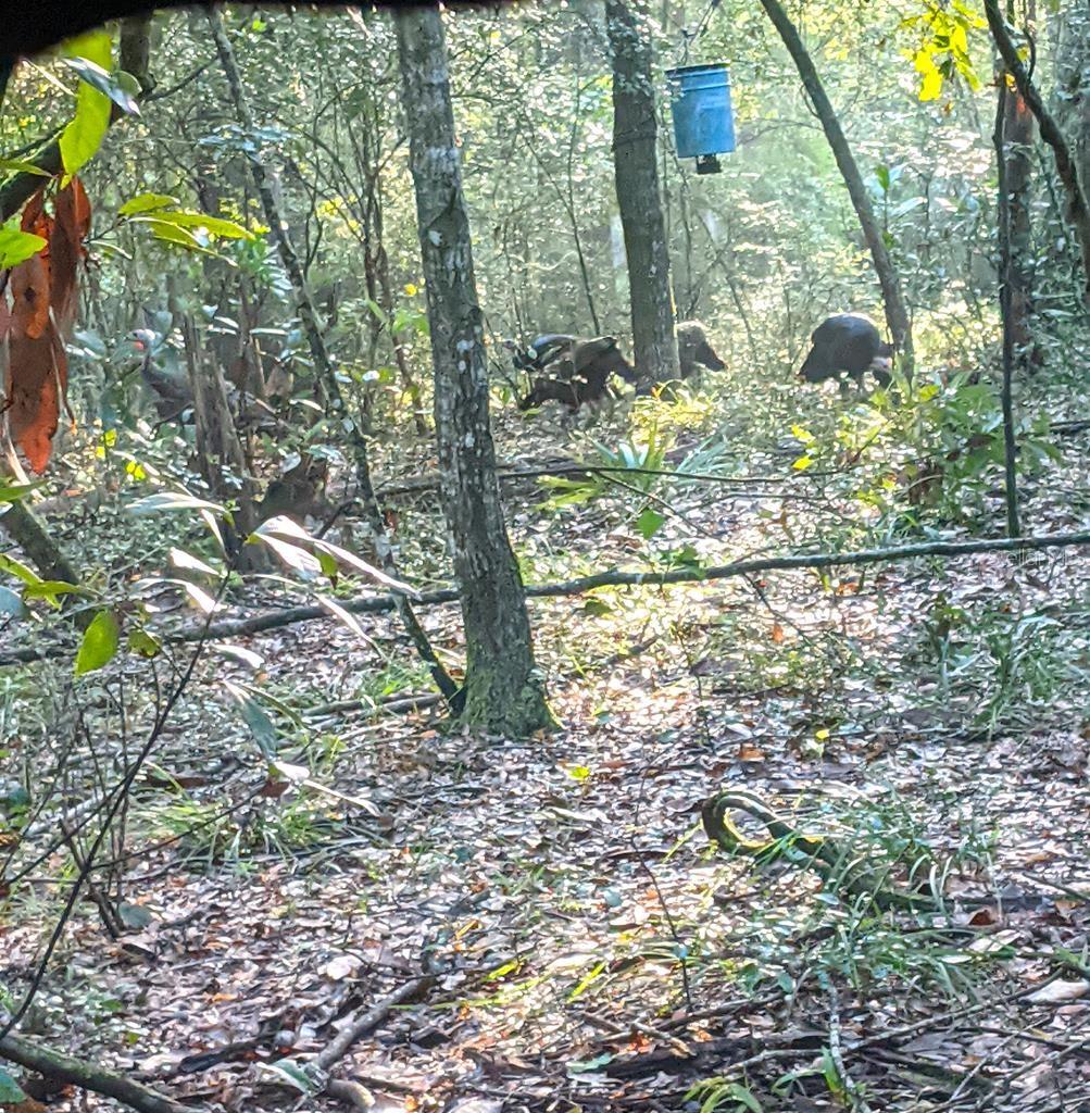 RIVERVIEW ESTATE SUB - Land