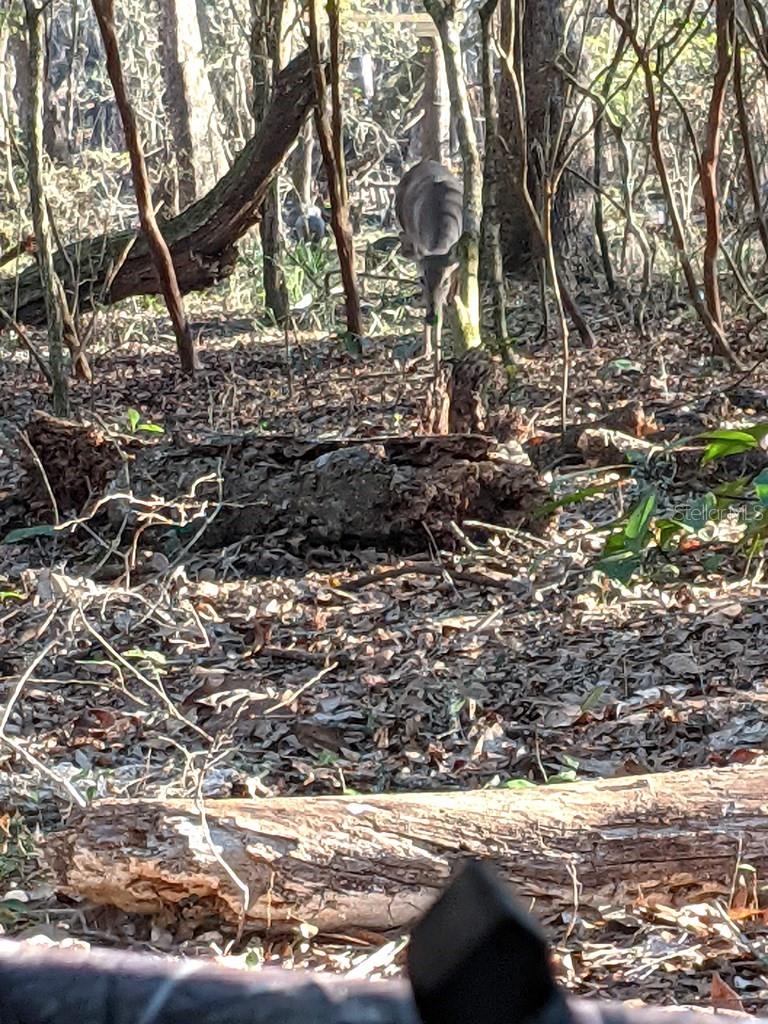 RIVERVIEW ESTATE SUB - Land