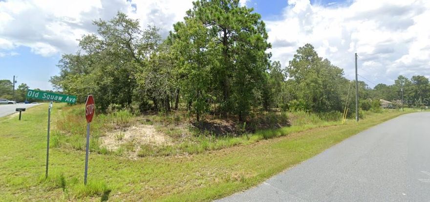 CORNER LOT located in Royal Highlands, surrounded by newer homes. Total land .46 acres. Paved roads. NO HOA or Deed Restrictions. NO FLOOD ZONE. Perfect lot to build your dream home. Swing by and check it out.