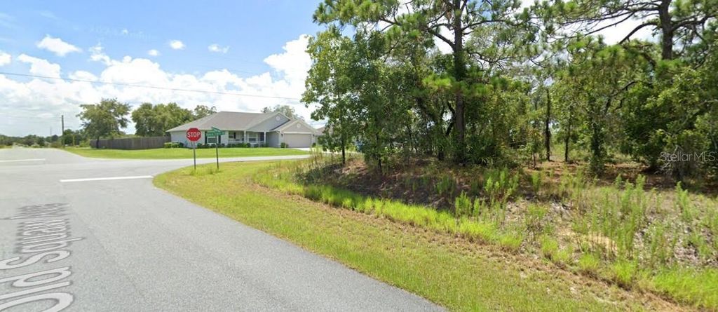 Photo of 00 Old Squaw Avenue, Weeki Wachee, FL 34614 (MLS # TB8470702)