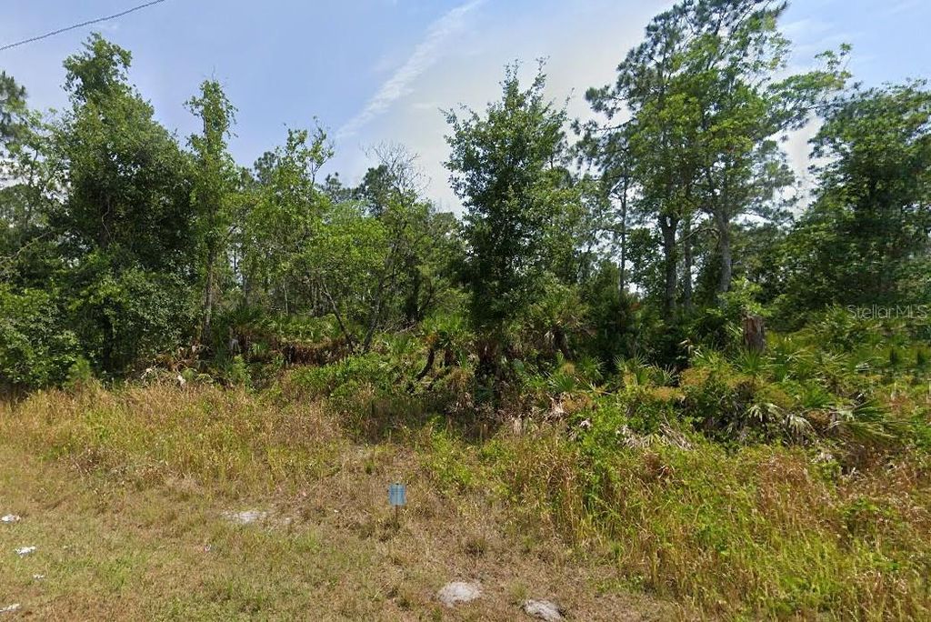 Photo of 8433 Capilla Street, Sebring, FL 33872 (MLS # O6427318)