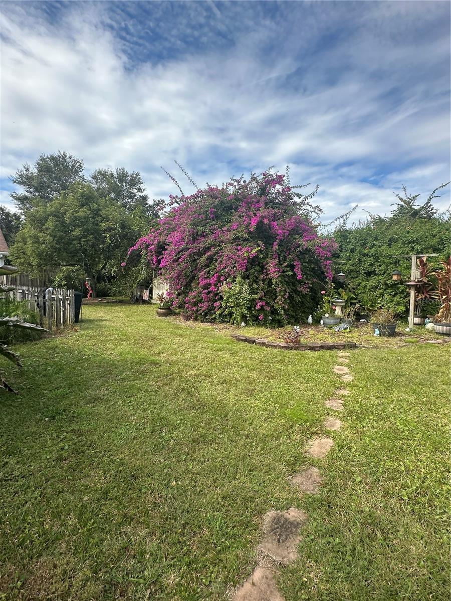 PINE TRACE UNIT 01 - Residential