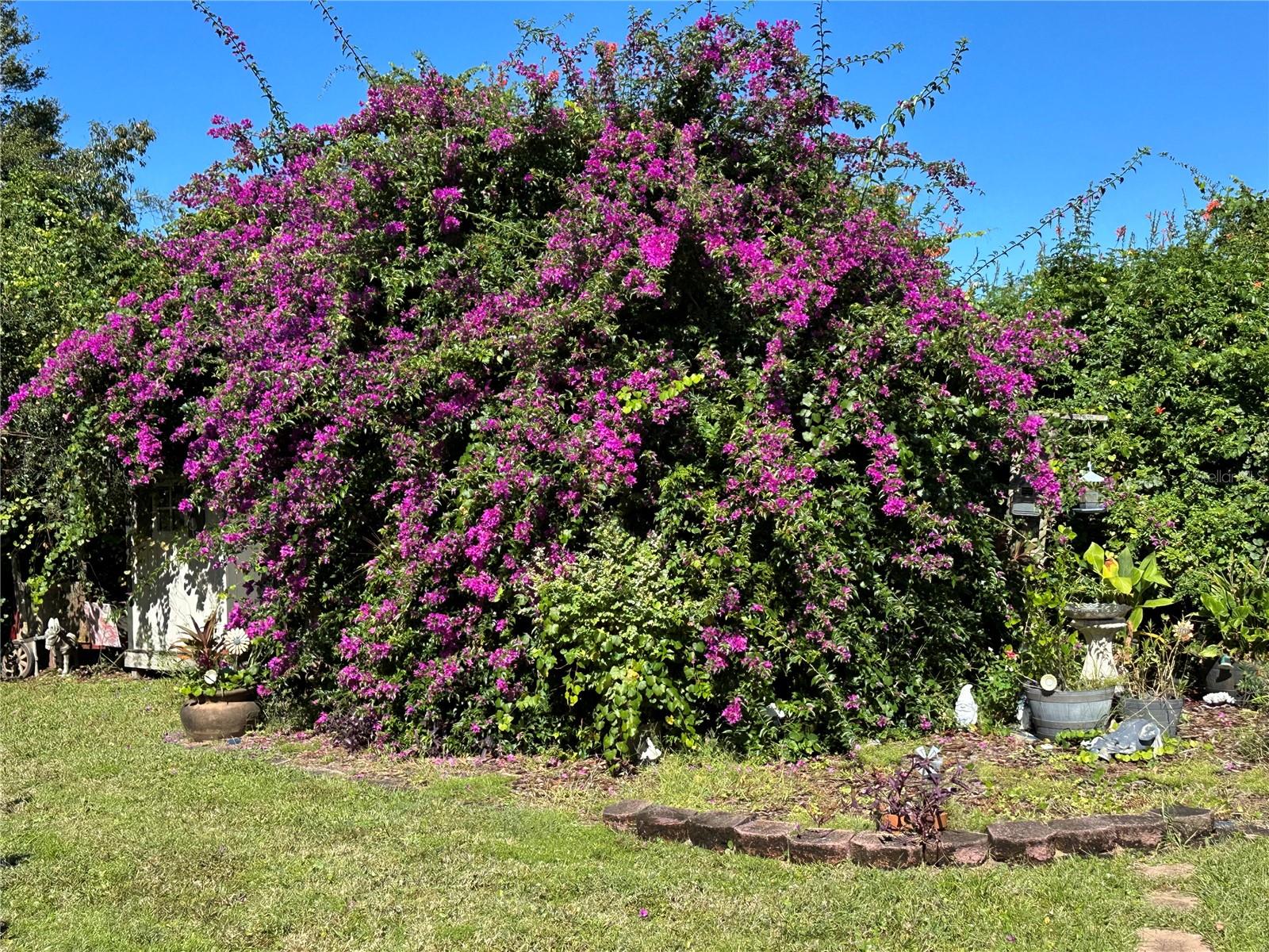 PINE TRACE UNIT 01 - Residential