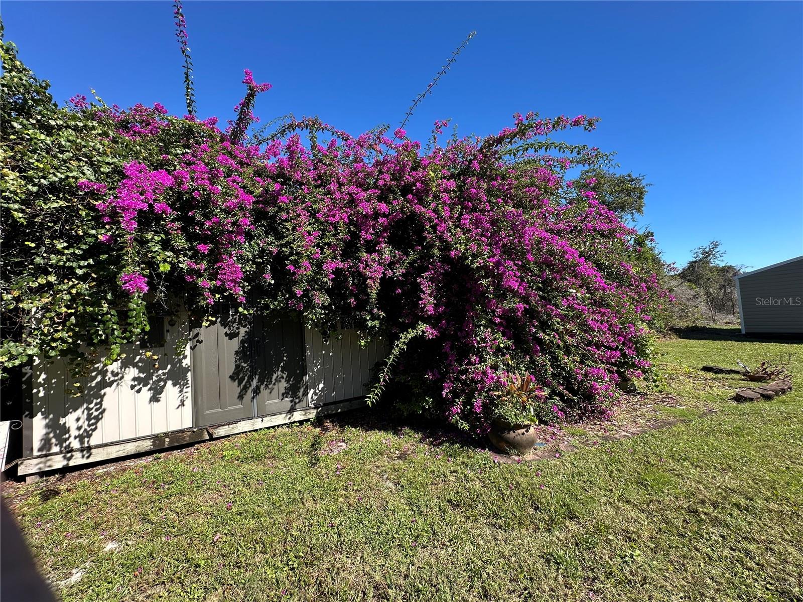 PINE TRACE UNIT 01 - Residential