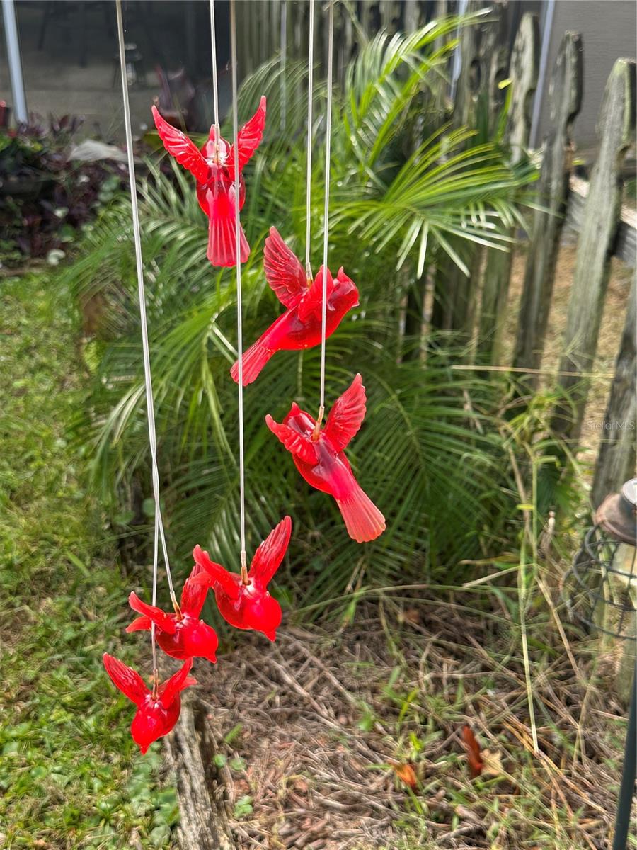 PINE TRACE UNIT 01 - Residential