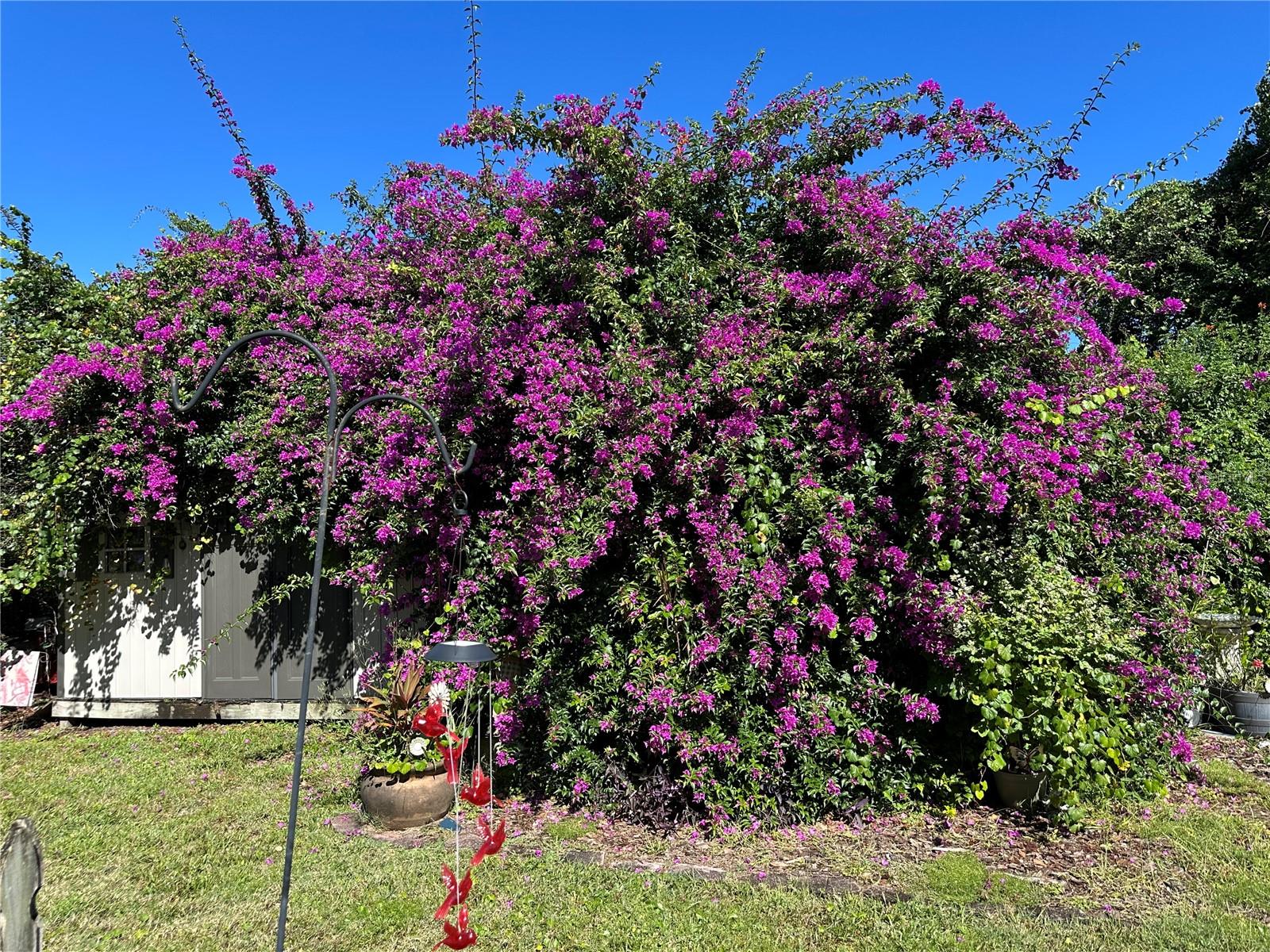 PINE TRACE UNIT 01 - Residential