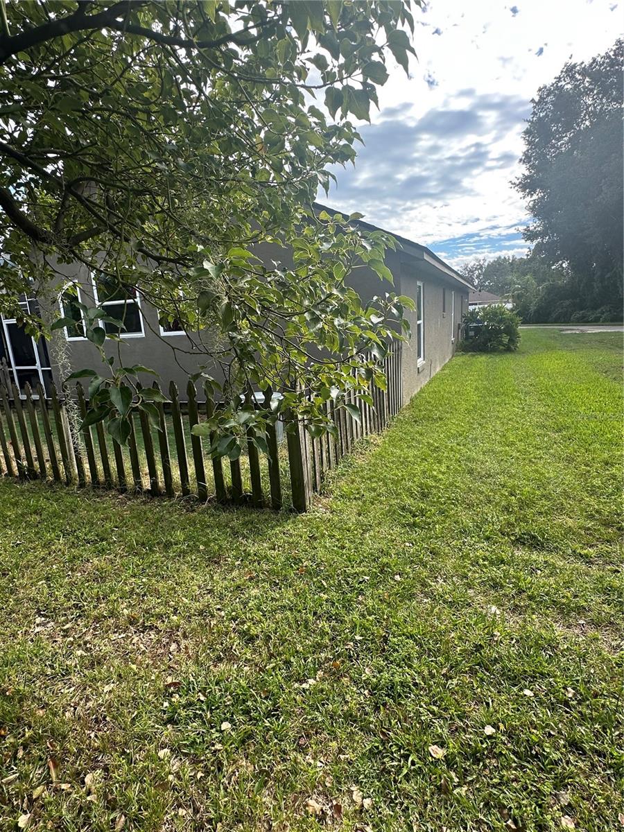 PINE TRACE UNIT 01 - Residential