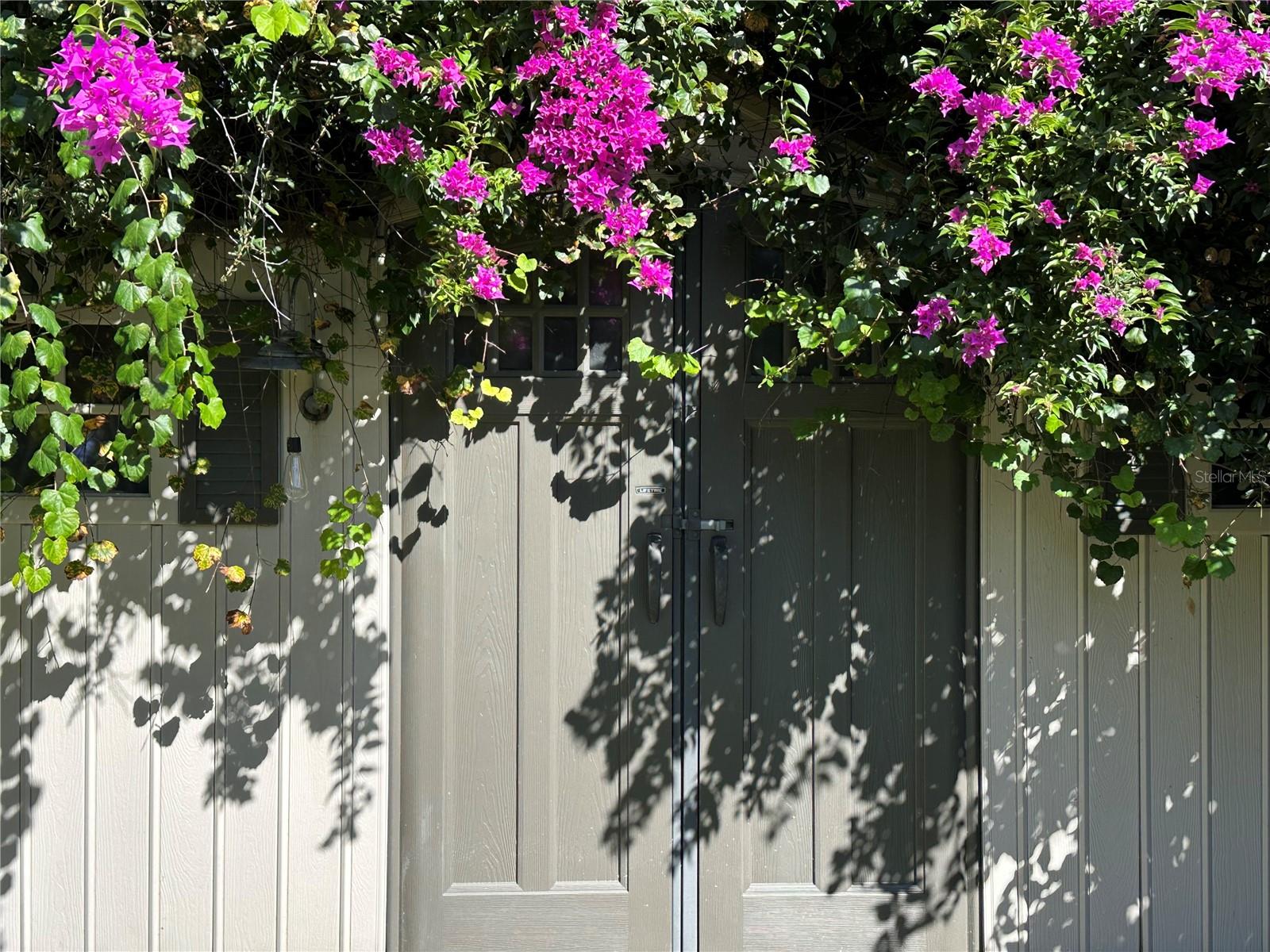 PINE TRACE UNIT 01 - Residential