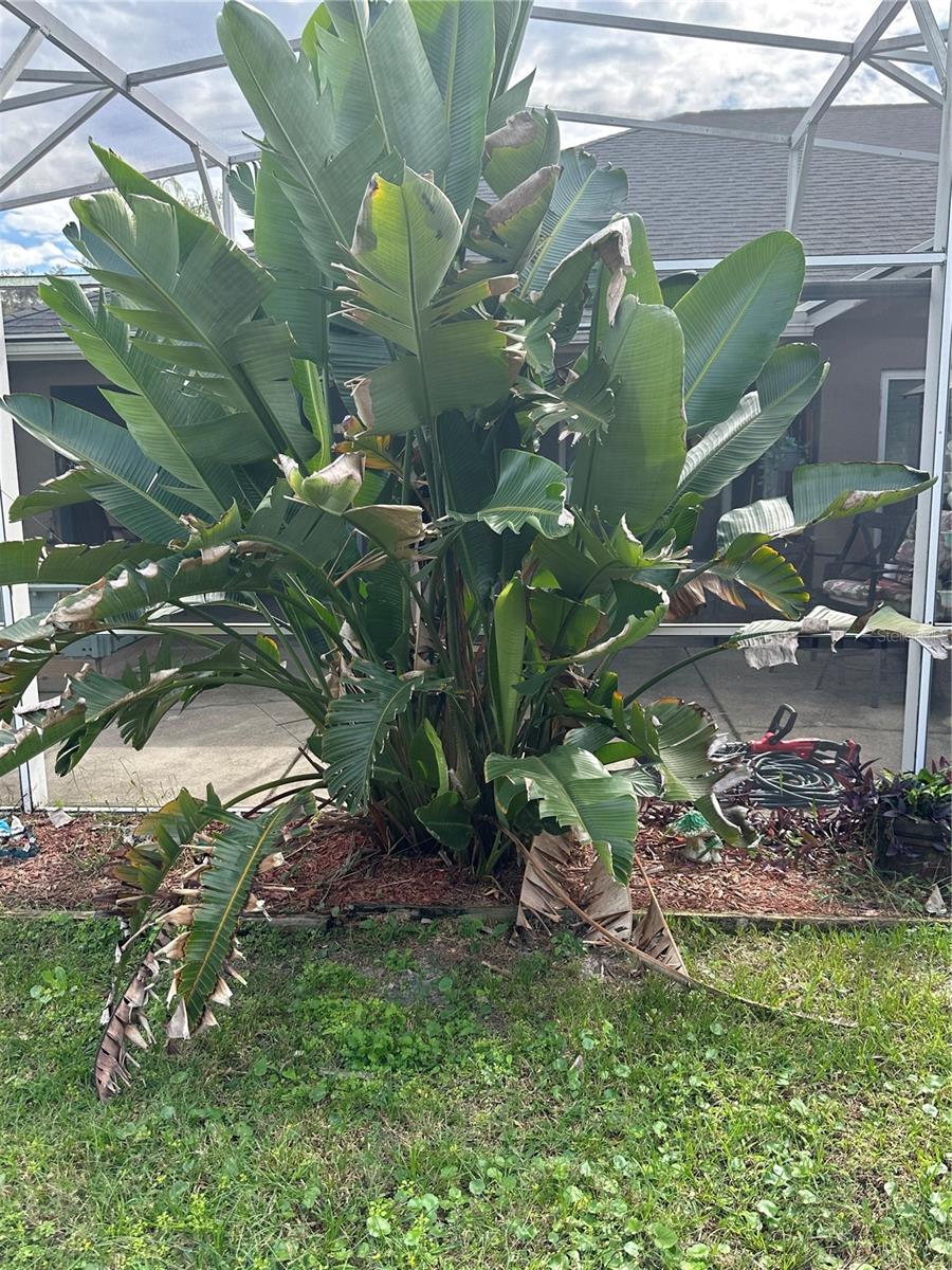 PINE TRACE UNIT 01 - Residential