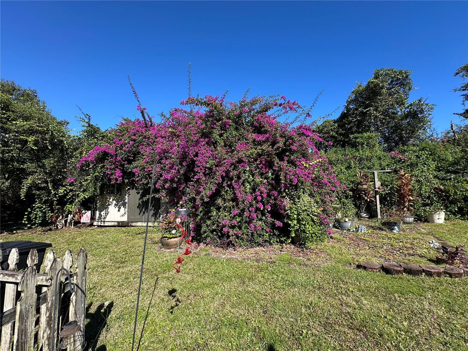 PINE TRACE UNIT 01 - Residential