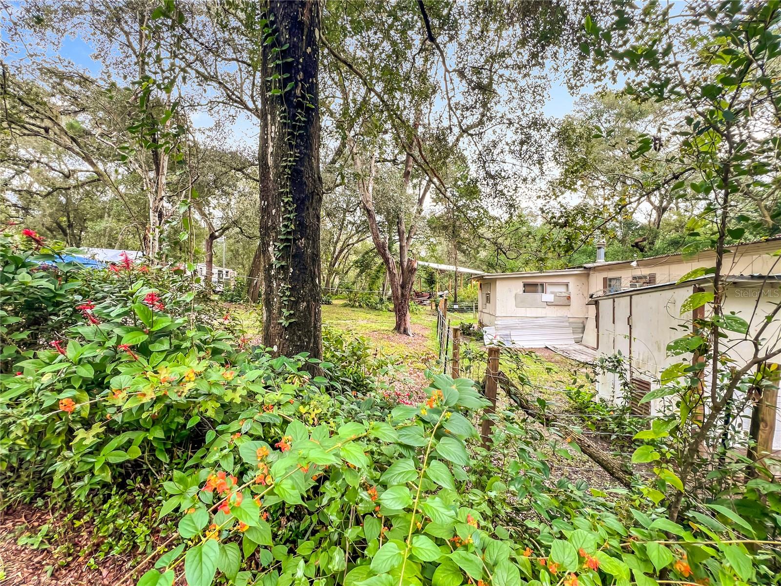 OCALA FOREST CAMPSITES 03 - Residential