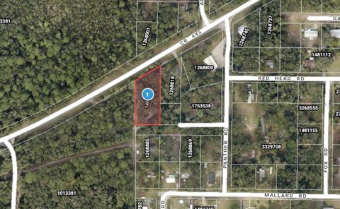 44748 BALDPATE ROAD ALTOONA FL 32702